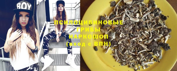 индика Лихославль
