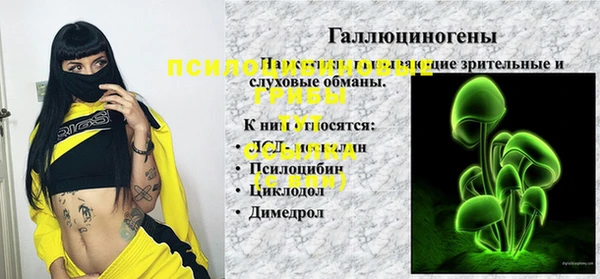 герыч Верея